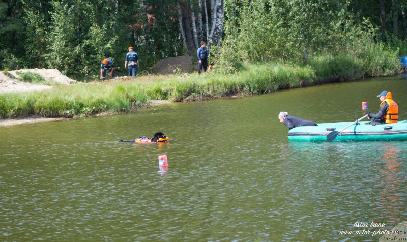 Фотография № 212873