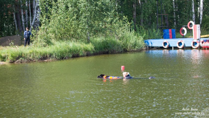 Фотография № 212874