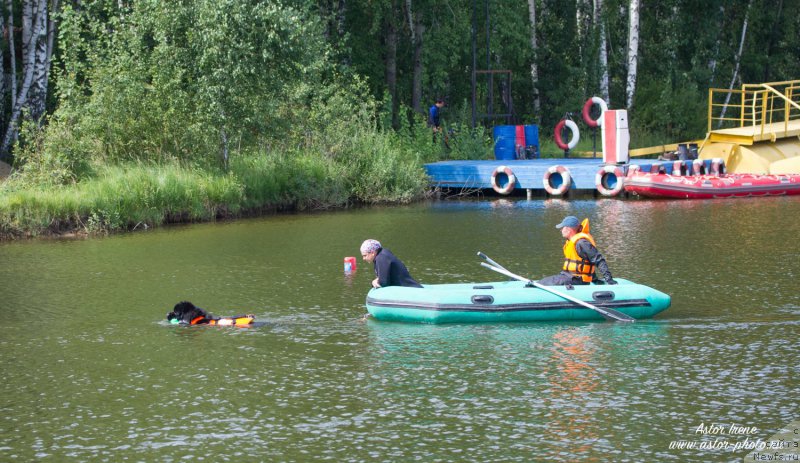 Фотография № 212877