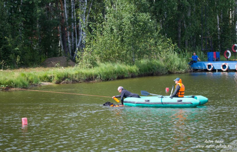 Фотография № 212879