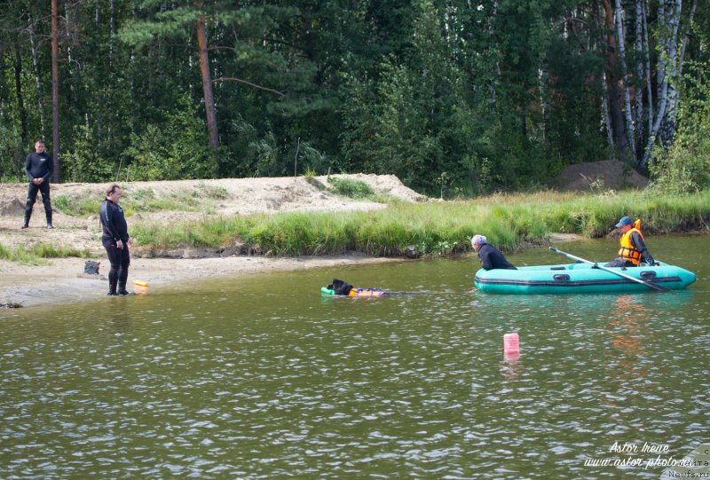 Фотография № 212884