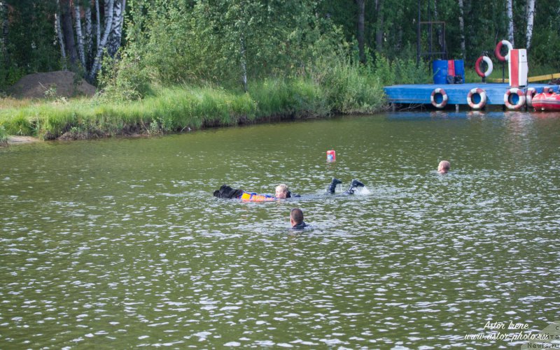 Фотография № 212885