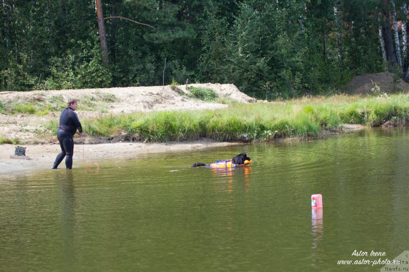 Фотография № 212887