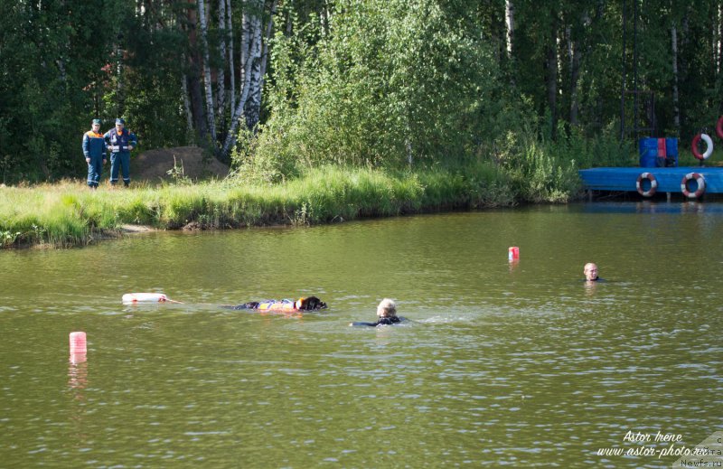 Фотография № 212888