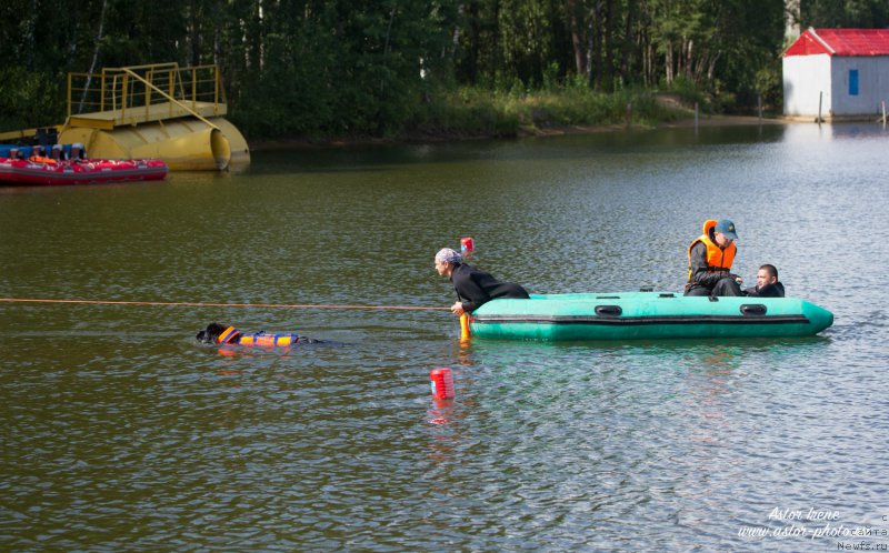 Фотография № 212891