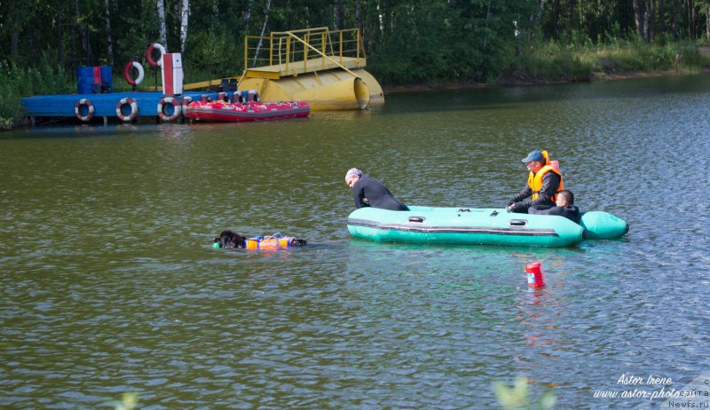 Фотография № 212892