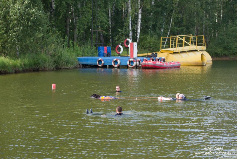 Фотография № 212894