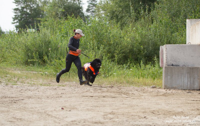 Фотография № 212896