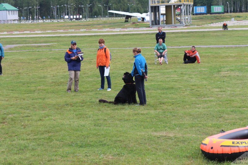 Фотография № 212897