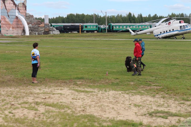 Фотография № 212902