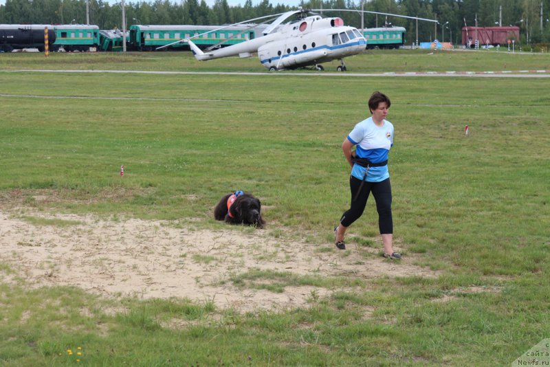 Фотография № 212903