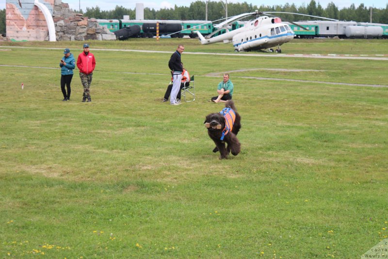 Фотография № 212904