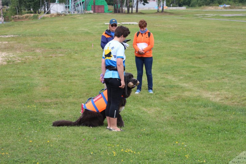 Фотография № 212905