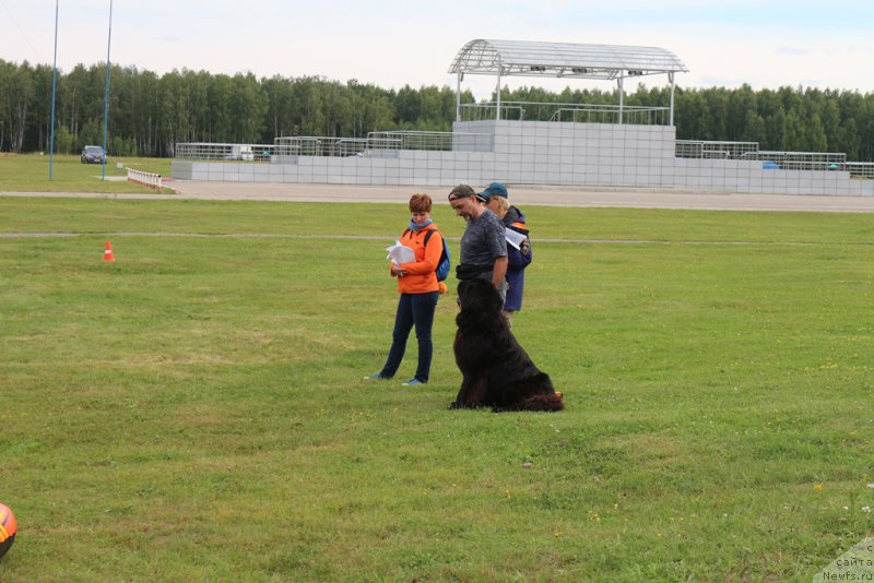 Фотография № 212906