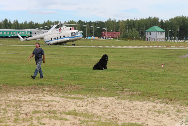 Фотография № 212907