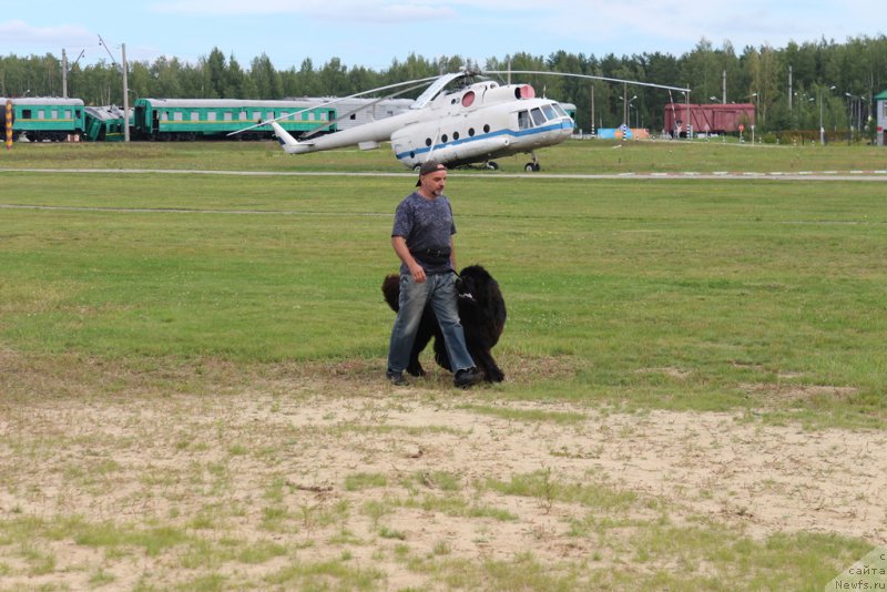 Фотография № 212909