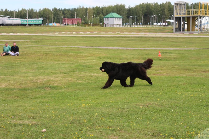 Фотография № 212911