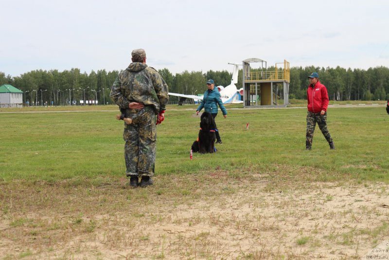 Фотография № 212913