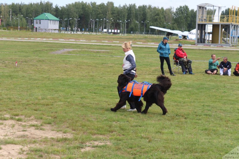 Фотография № 212918