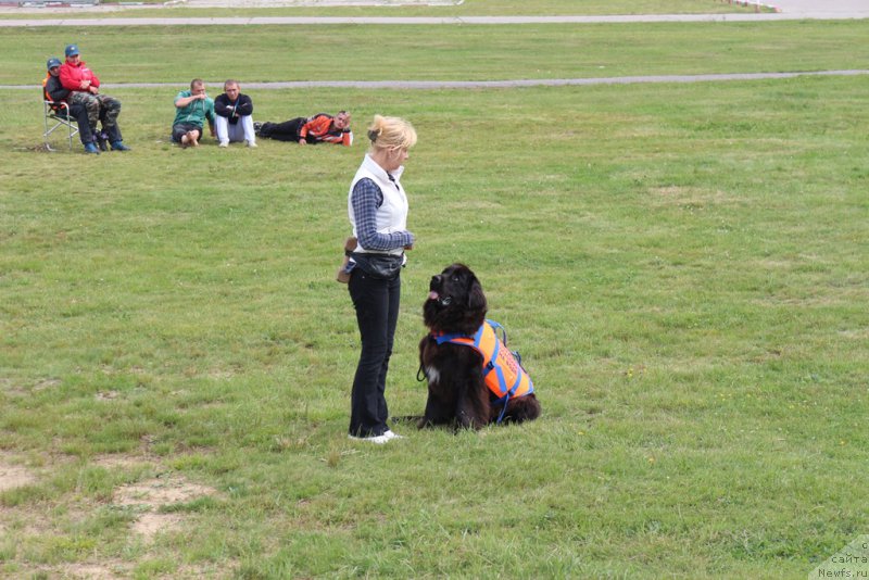 Фотография № 212921