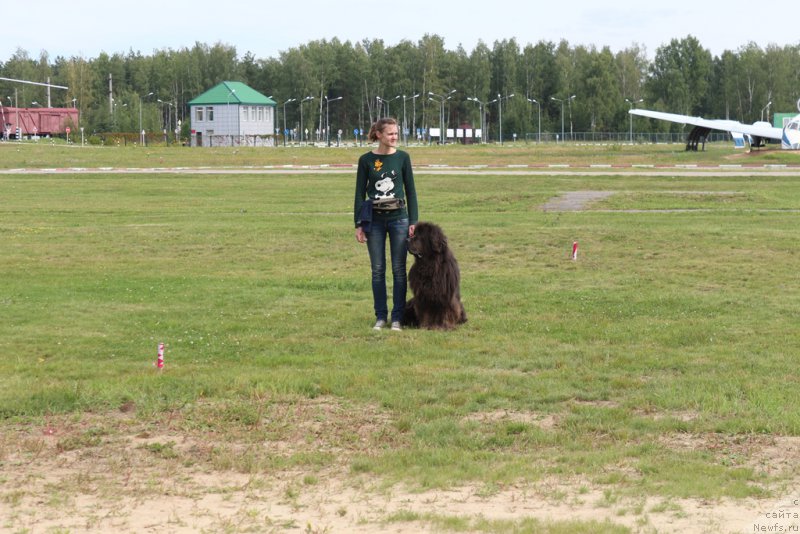 Фотография № 212925