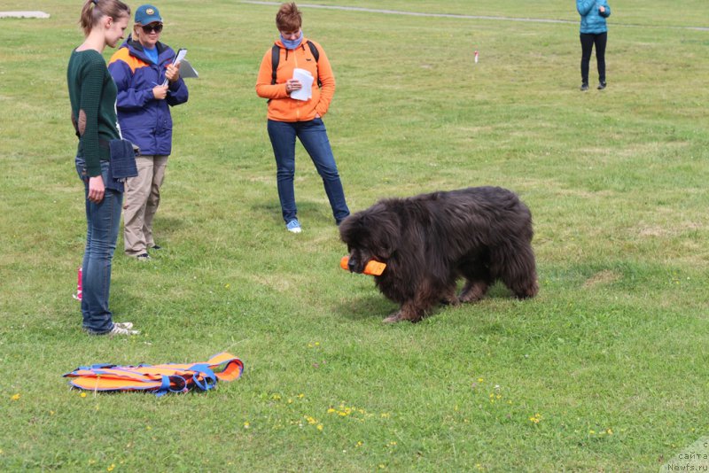 Фотография № 212927