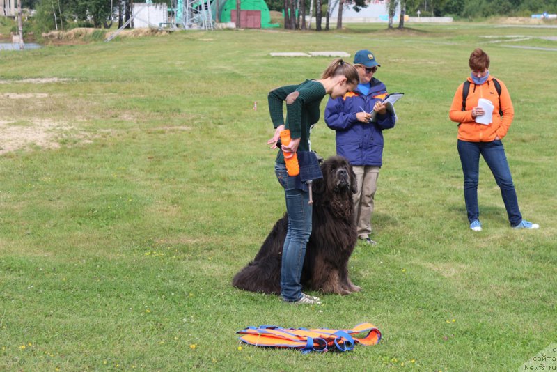 Фотография № 212928