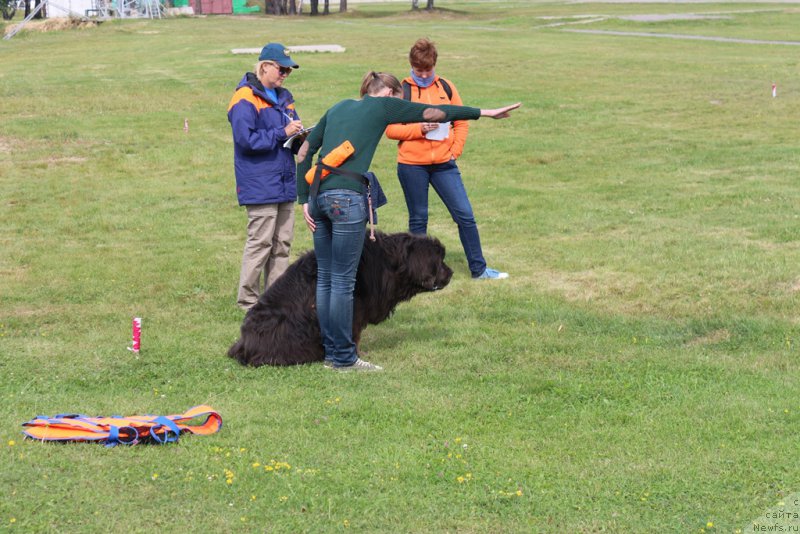 Фотография № 212929