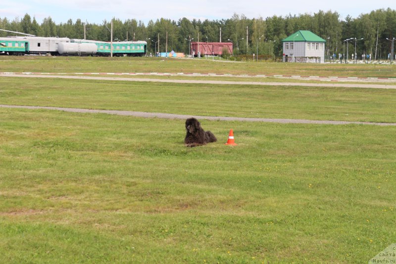 Фотография № 212930