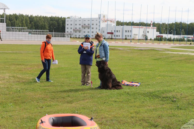 Фотография № 212931