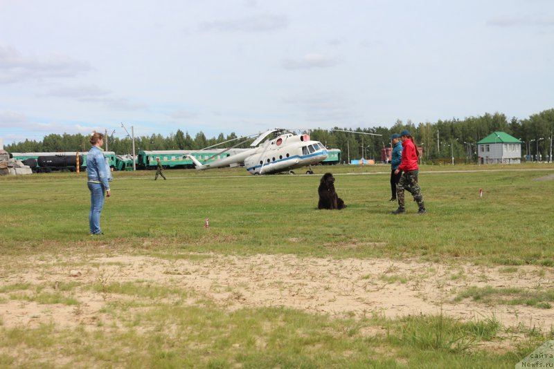 Фотография № 212933