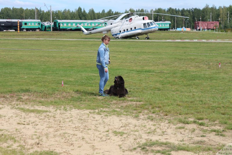 Фотография № 212935