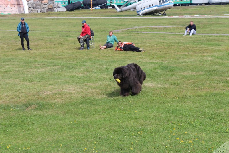 Фотография № 212936