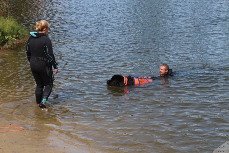 Фотография № 212941