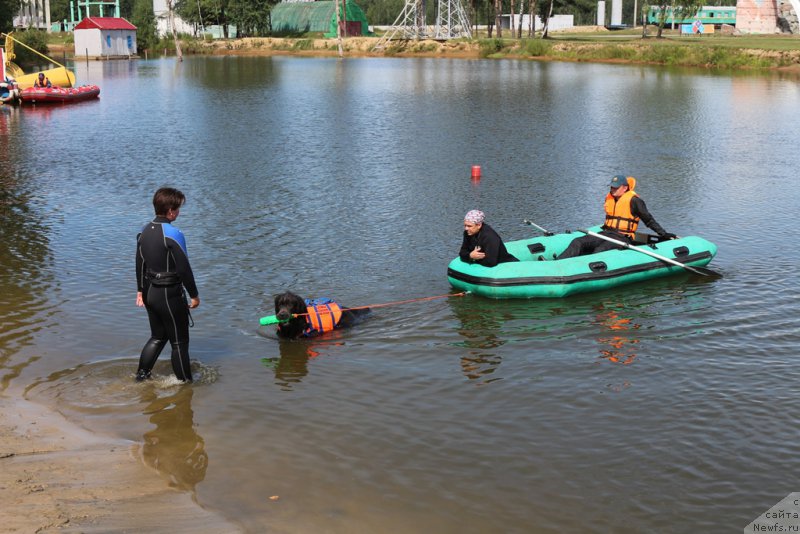 Фотография № 212944