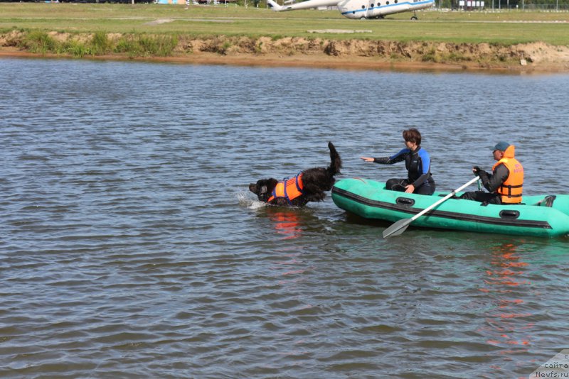 Фотография № 212946