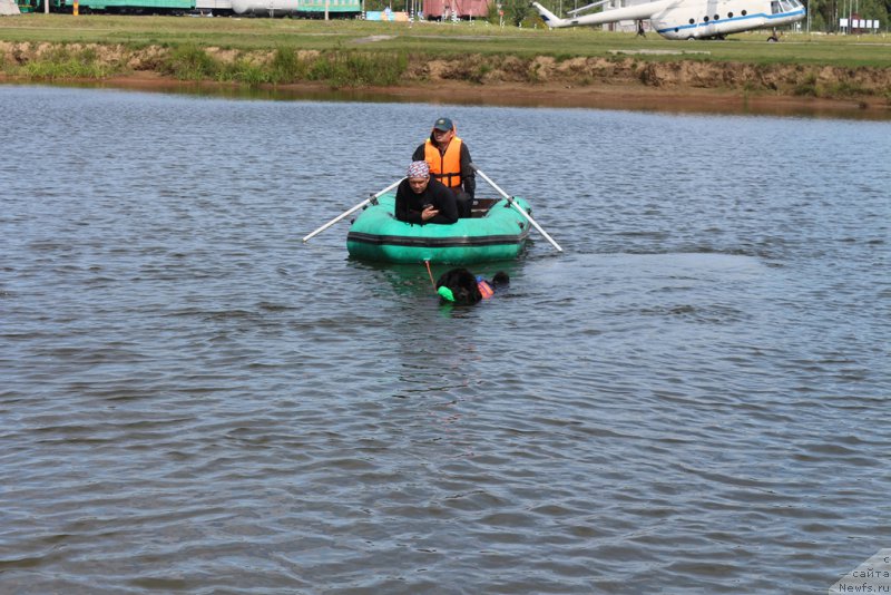 Фотография № 212954