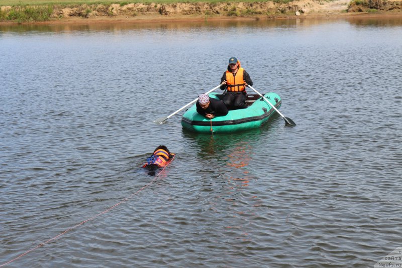 Фотография № 212955