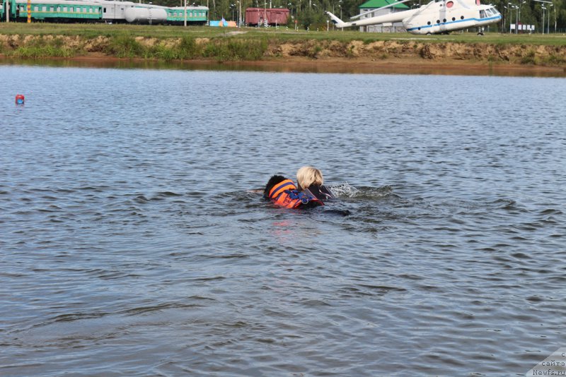 Фотография № 212956