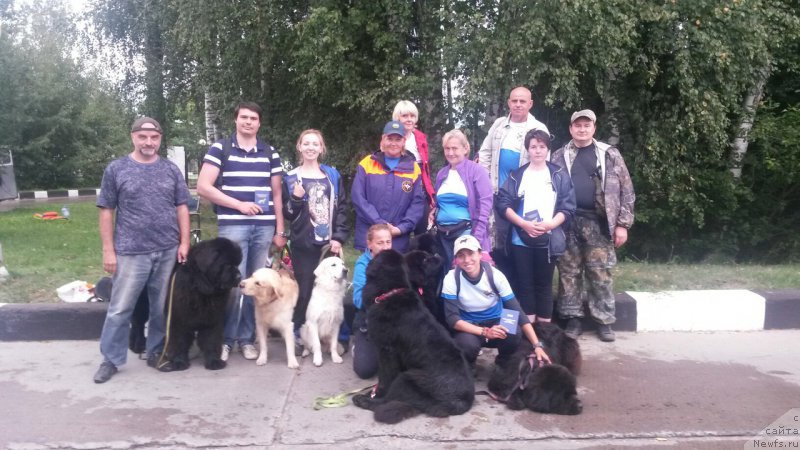 Фотография № 212962