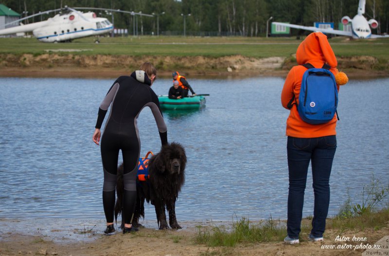 Фотография № 212964