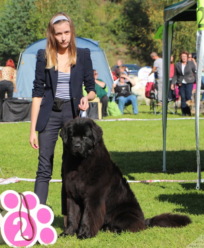 Фотография № 212984