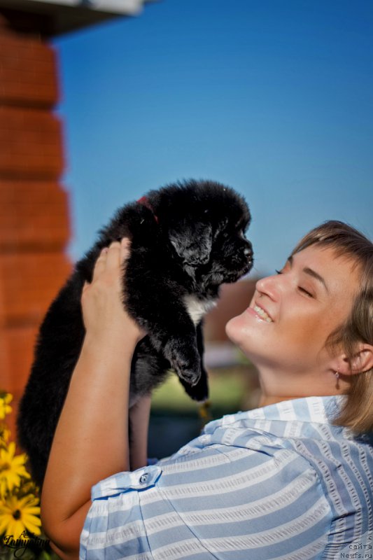 Фото: Елизавета Павлова