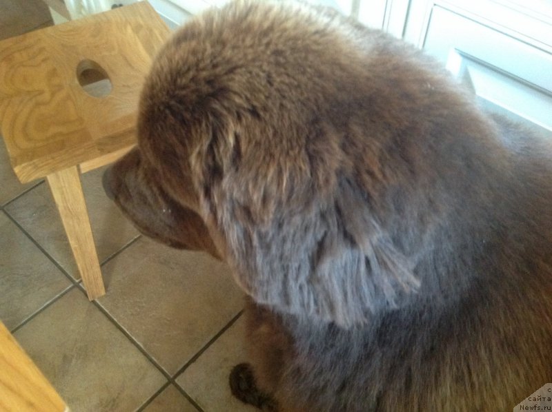 Фотография № 212990