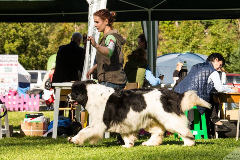 Фотография № 213001