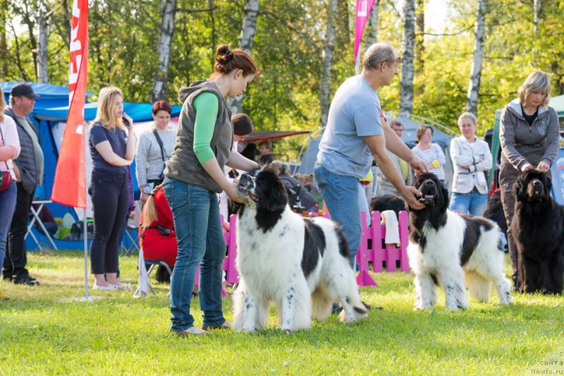 Фотография № 213002