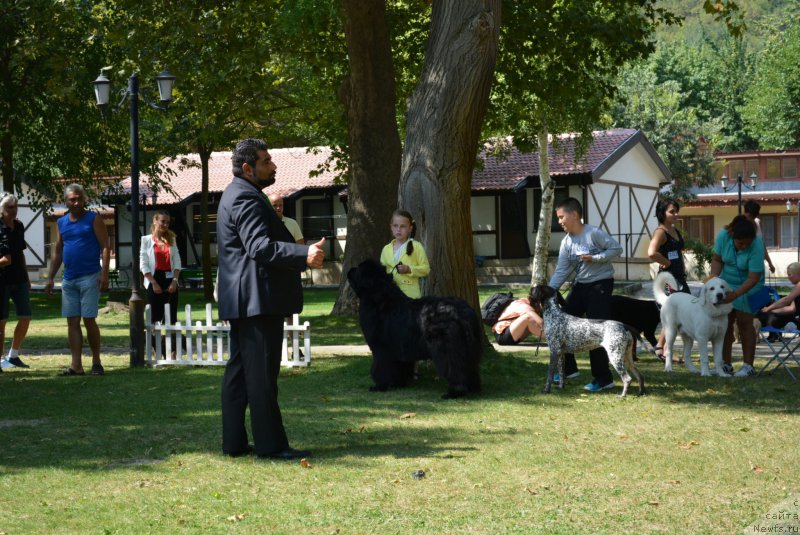 Фотография № 213011