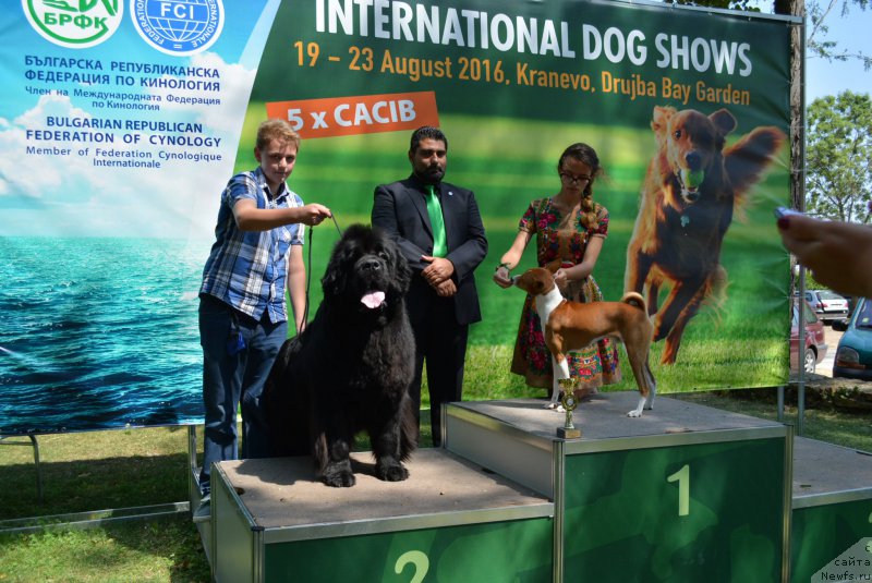 Фотография № 213013