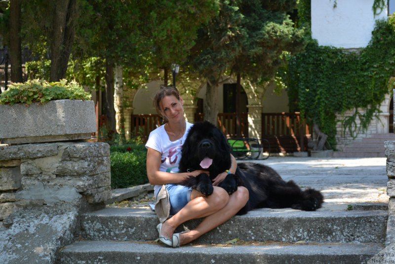 Фотография № 213017