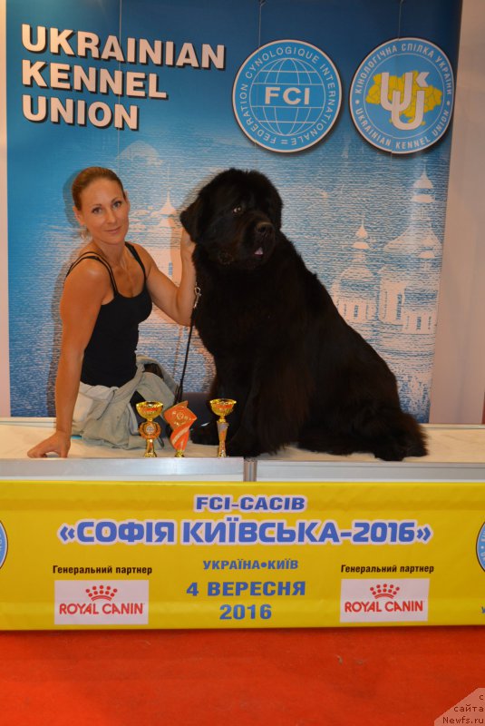 Фотография № 213024